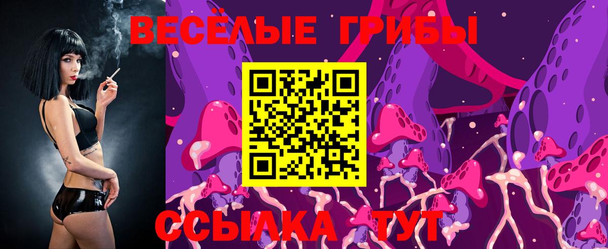 Псилоцибиновые грибы мицелий  Вход с VPN  Осинники  Галлюциногенные грибы Psilocybe 